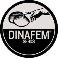 Dinafem