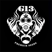 G13 Labs