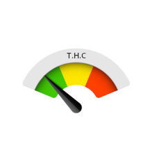 Graines Faible THC