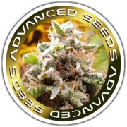 Advanced Seeds