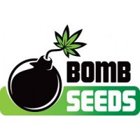 Bomb Seeds