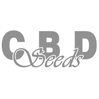 CBD Seeds