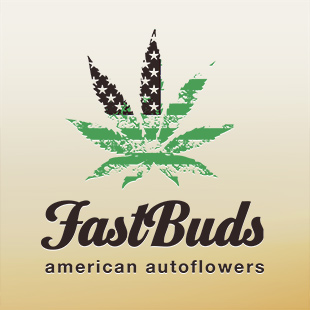 Fast Buds