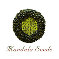 Mandala Seeds