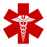 Graines de Cannabis Médical