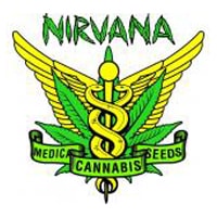 Nirvana Seeds
