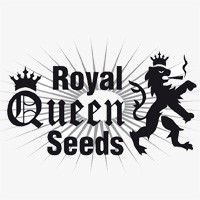 Royal Queen Seeds