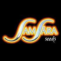 Samsara Seeds