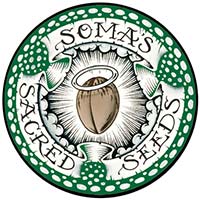 Soma Seeds