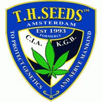 TH Seeds