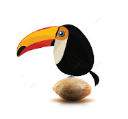 Graines Climat Tropical