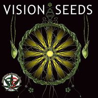 Vision Seeds