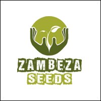 Zambeza Seeds