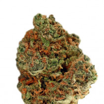 California Skunk